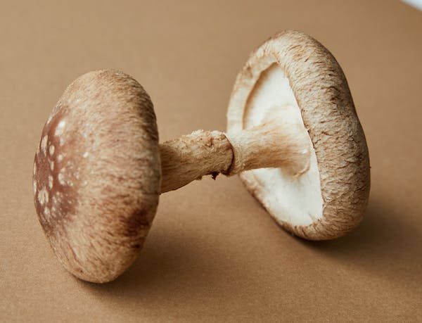 Why Mushroom Supplements Are a Must-Have for Optimal Health